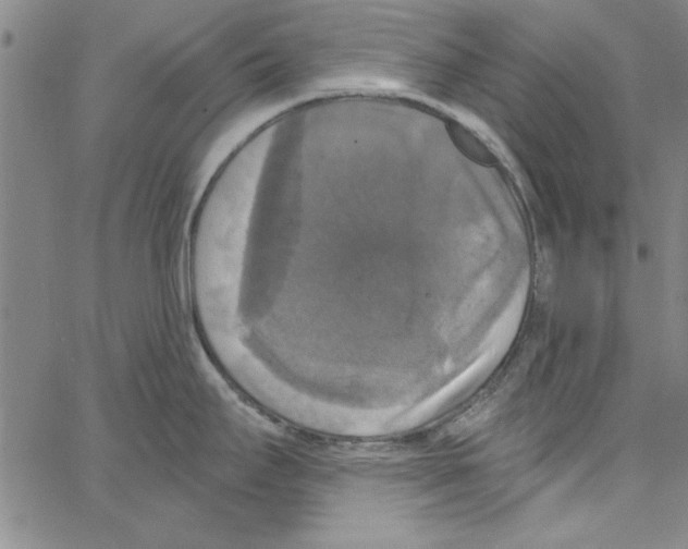 X0000066971295200604211857