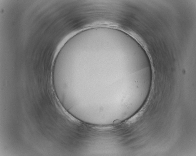 X0000066971296200604211857