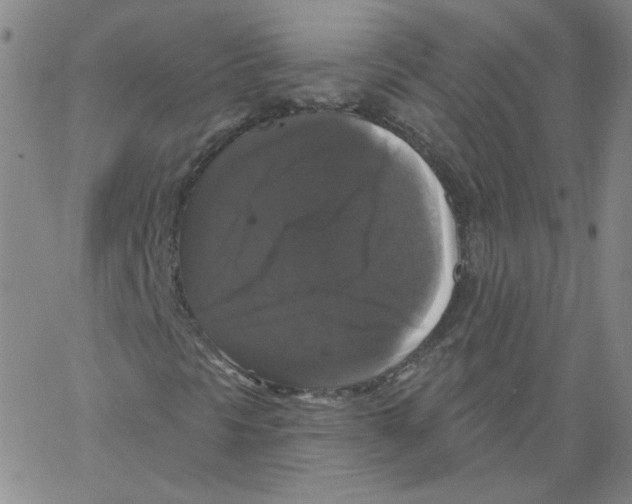 X0000066971297200604211856