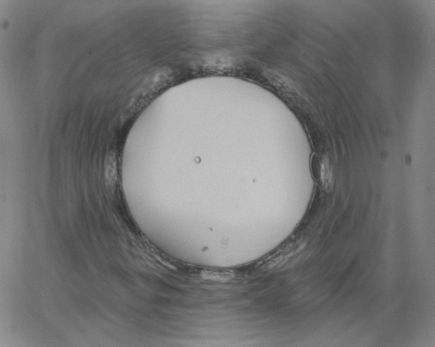 X0000066971299200604211856