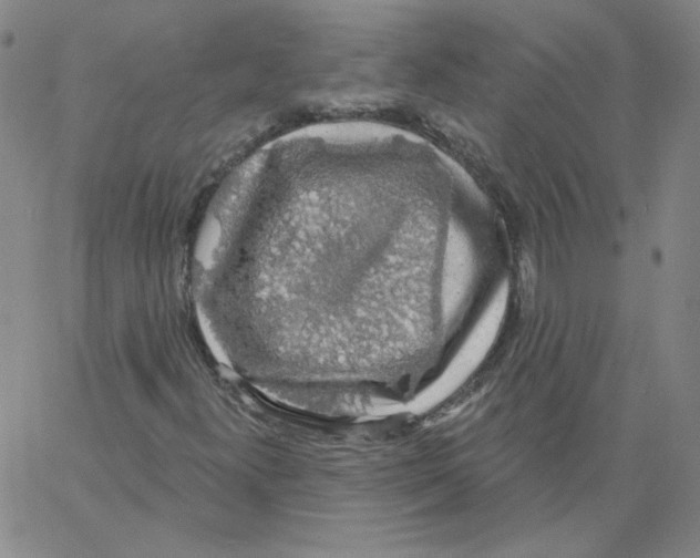 X0000066971300200604211856