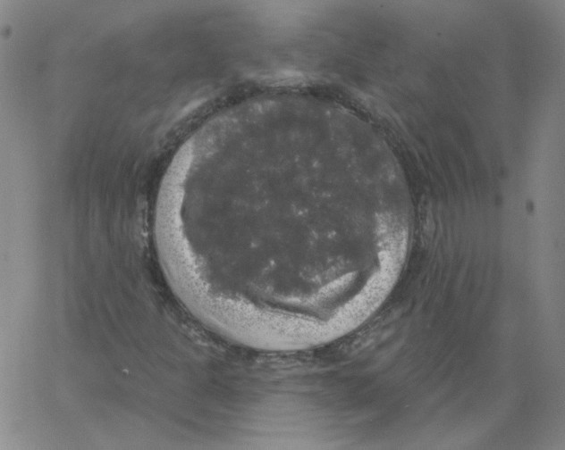 X0000066971301200604211856