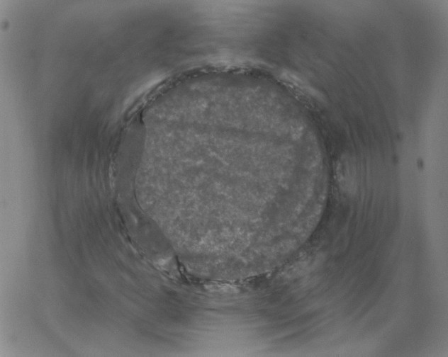 X0000066971302200604211856