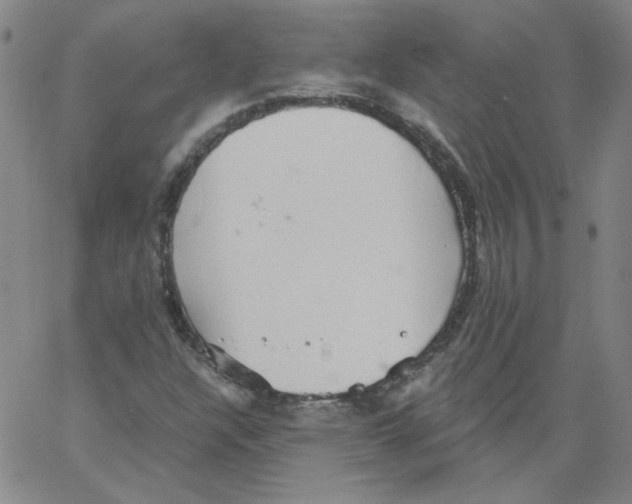 X0000066971304200604211856