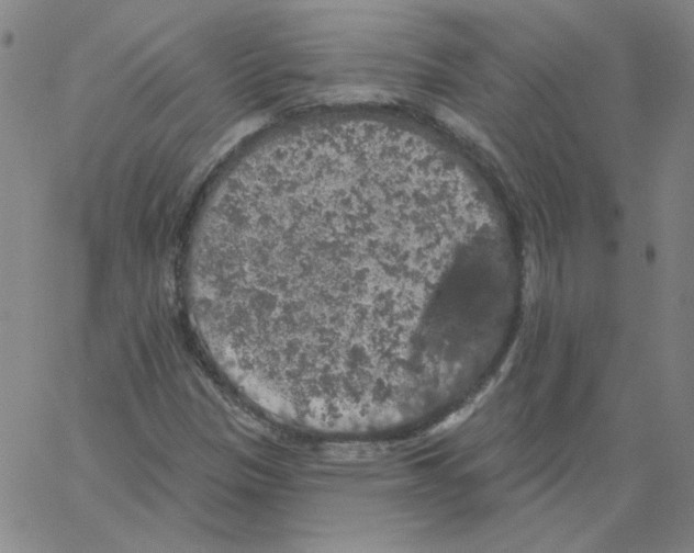 X0000066971305200604211856