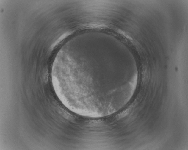 X0000066971306200604211856