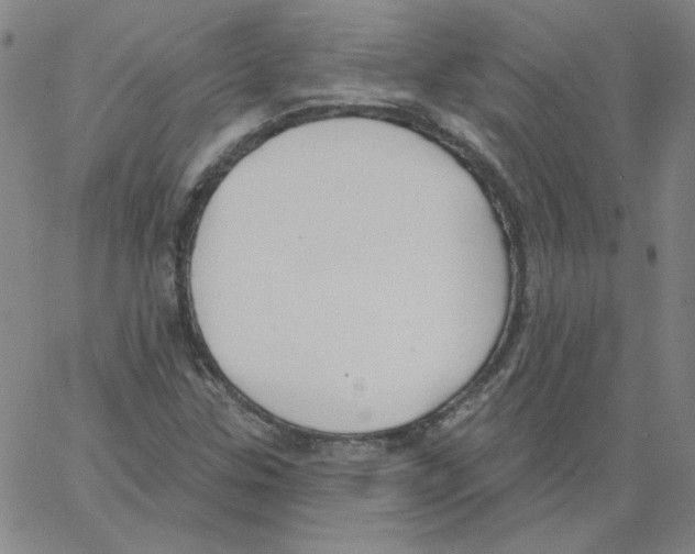 X0000066971307200604211856