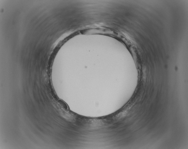 X0000066971308200604211856