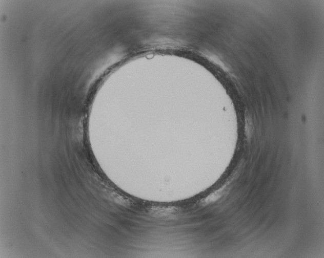 X0000066971309200604211856