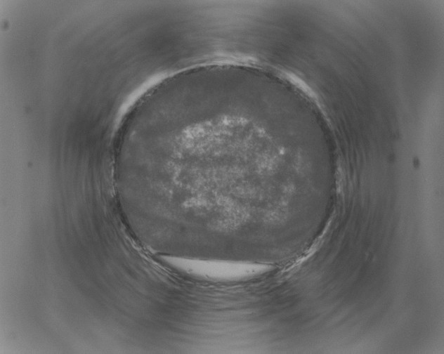 X0000066971310200604211856