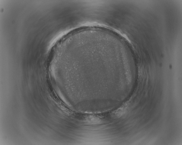 X0000066971311200604211856