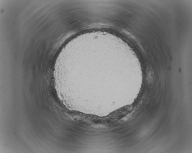 X0000066971313200604211856