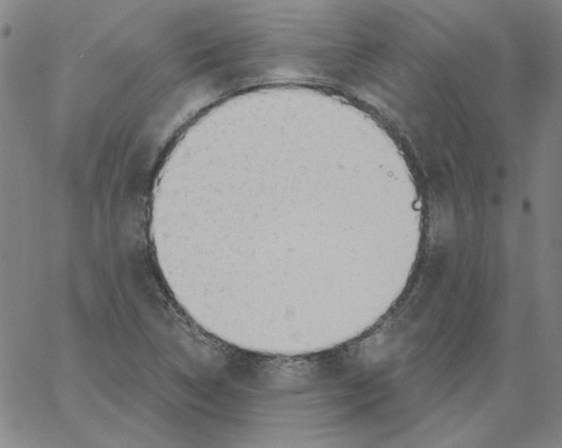 X0000066971314200604211856