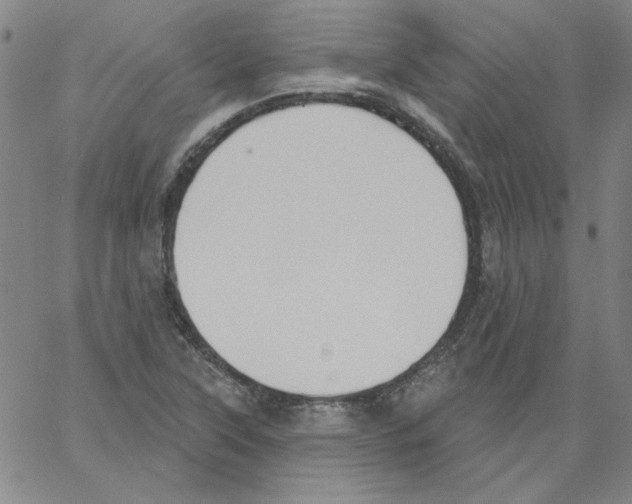 X0000066971315200604211856