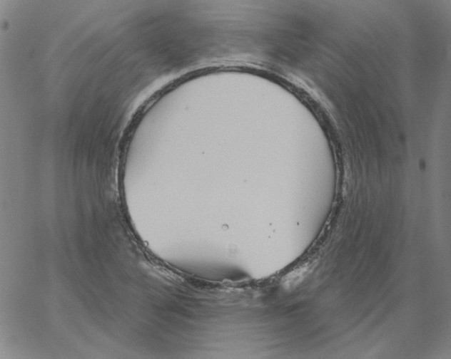 X0000066971316200604211856