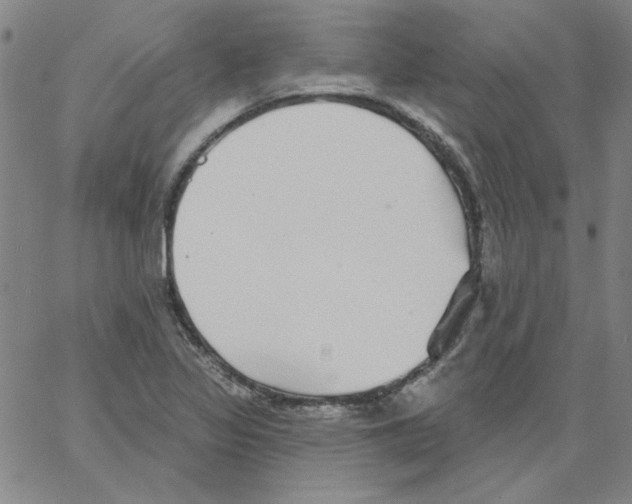 X0000066971317200604211856