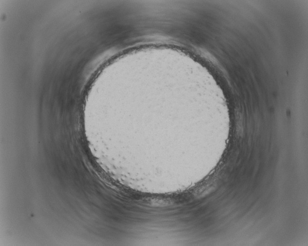 X0000066971318200604211856