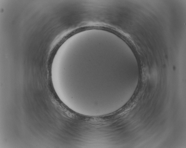 X0000066971319200604211856