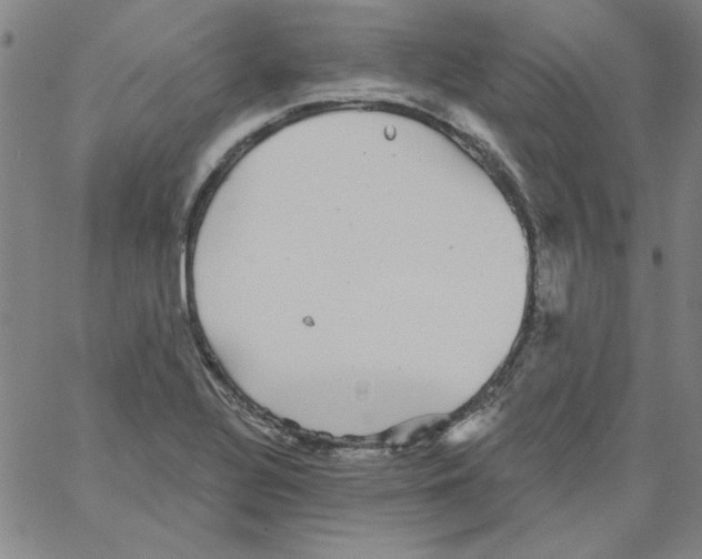 X0000066971320200604211856