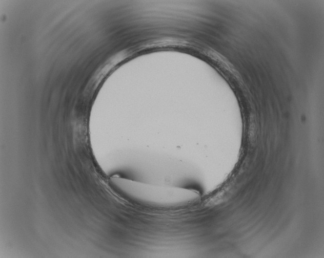 X0000066971321200604211856