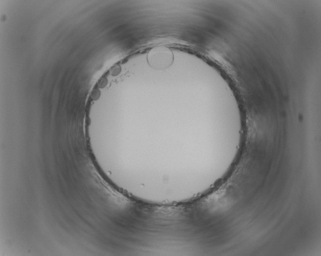 X0000066971322200604211856