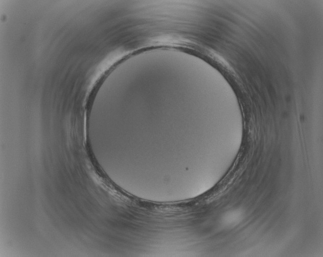 X0000066971323200604211856