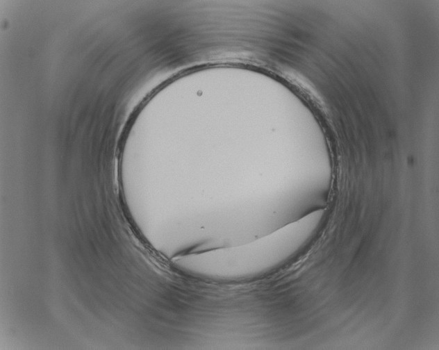 X0000066971324200604211857