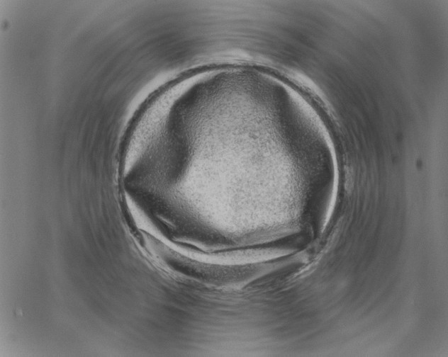 X0000066971326200604211857