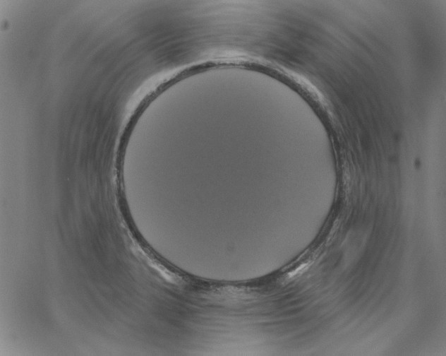 X0000066971327200604211857