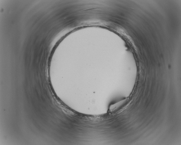 X0000066971328200604211857