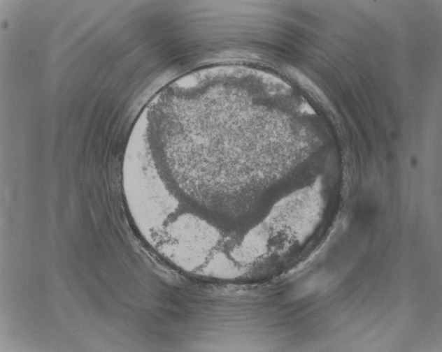 X0000066971329200604211857