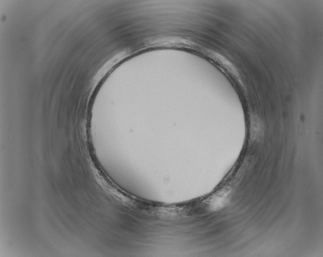 X0000066971330200604211857