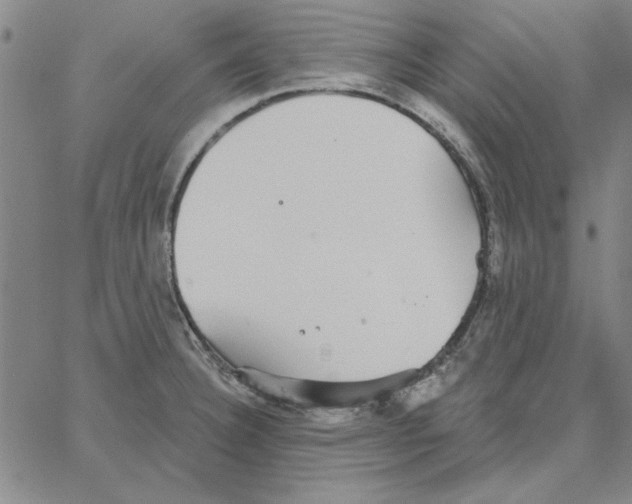 X0000066971332200604211857