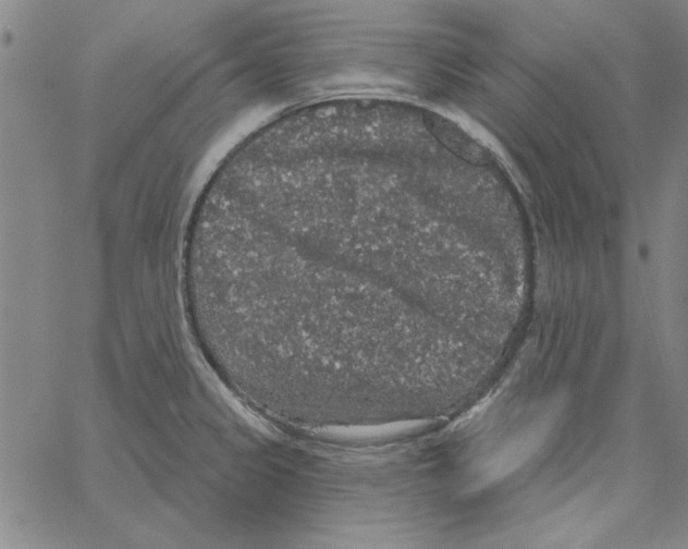 X0000066971333200604211857