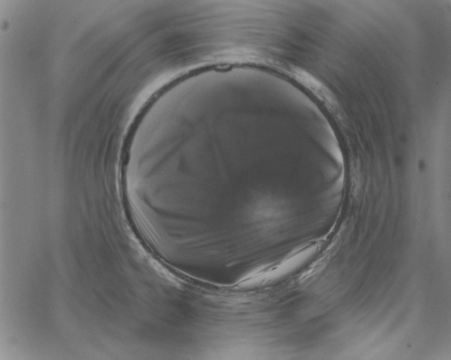 X0000066971334200604211857