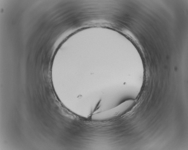 X0000066971336200604211857