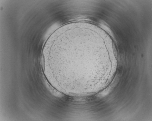 X0000066971338200604211857