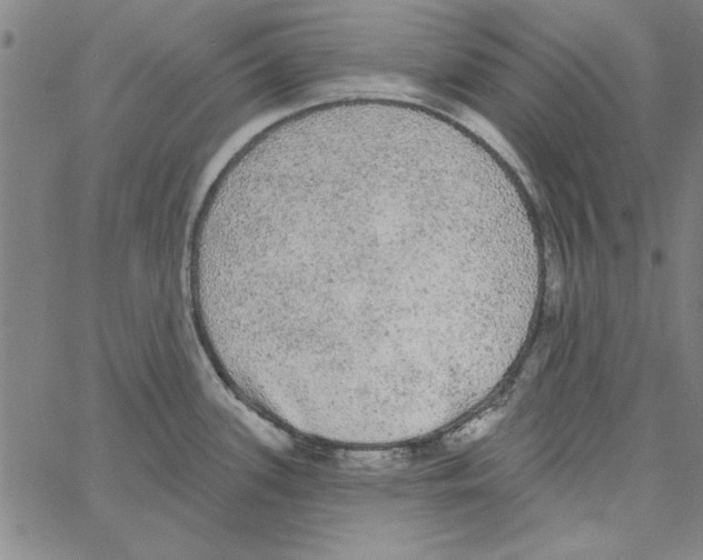 X0000066971339200604211857