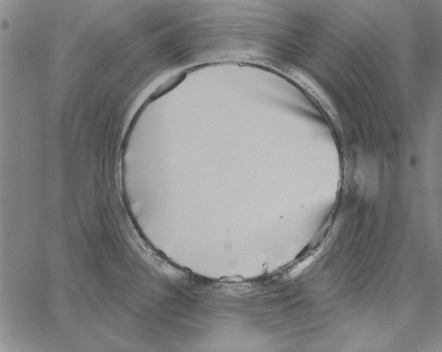 X0000066971340200604211857