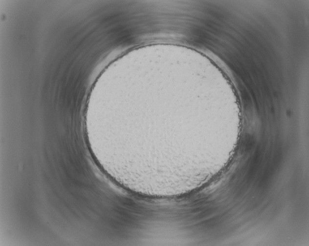 X0000066971341200604211857