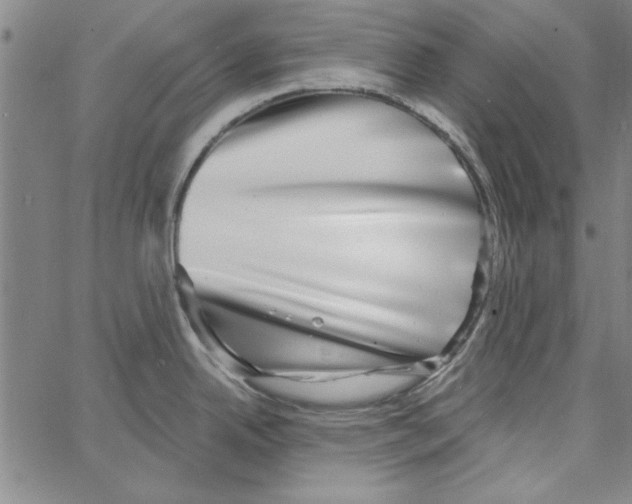 X0000066971342200604211857