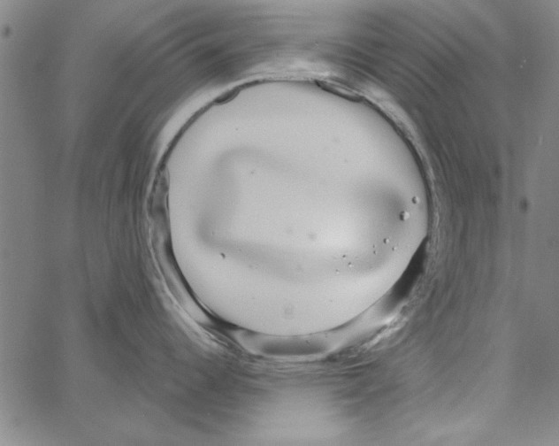 X0000066971344200604211857