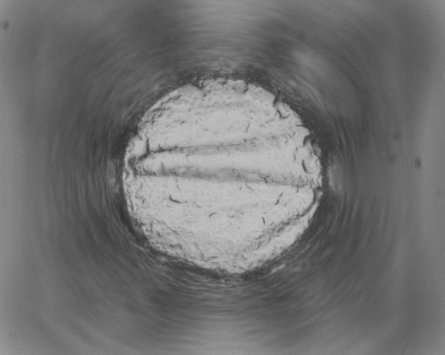 X0000066971347200604211856