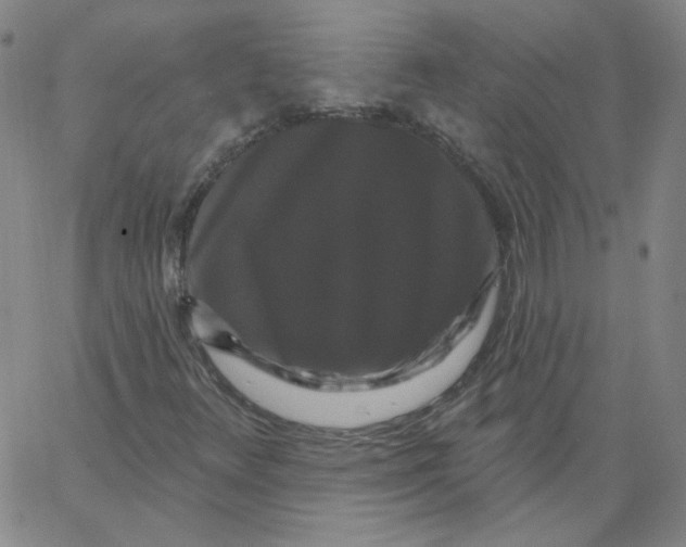 X0000066971348200604211856