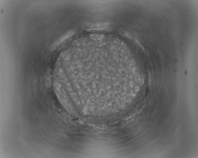 X0000066971350200604211856