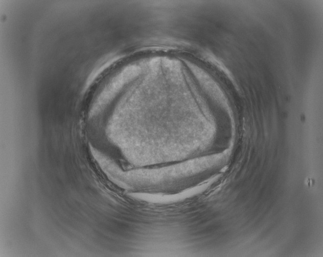 X0000066971352200604211856