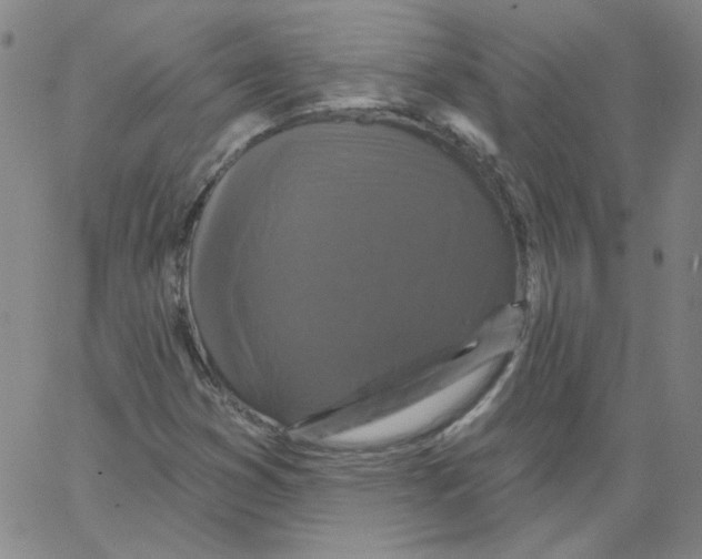 X0000066971353200604211856