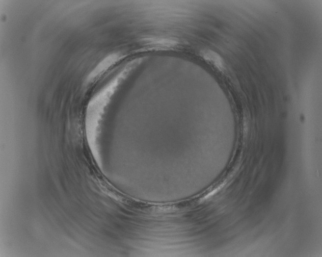 X0000066971354200604211856