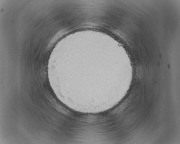 X0000066971355200604211856