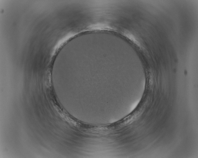 X0000066971358200604211856